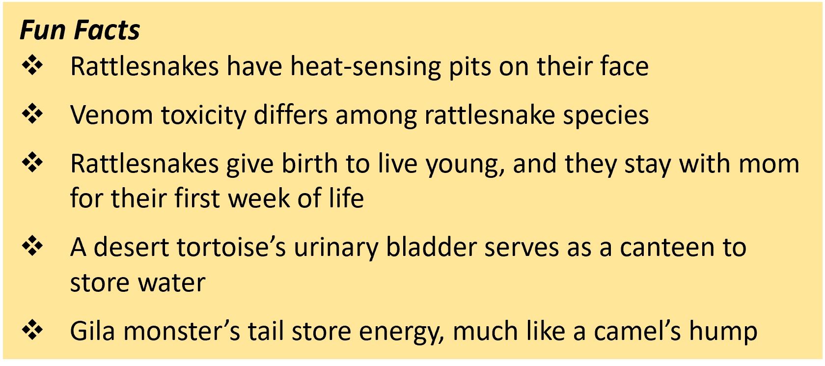 Reptile Fun Facts